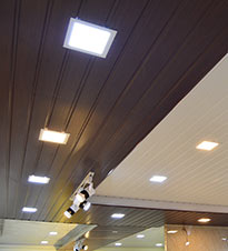 False Ceiling